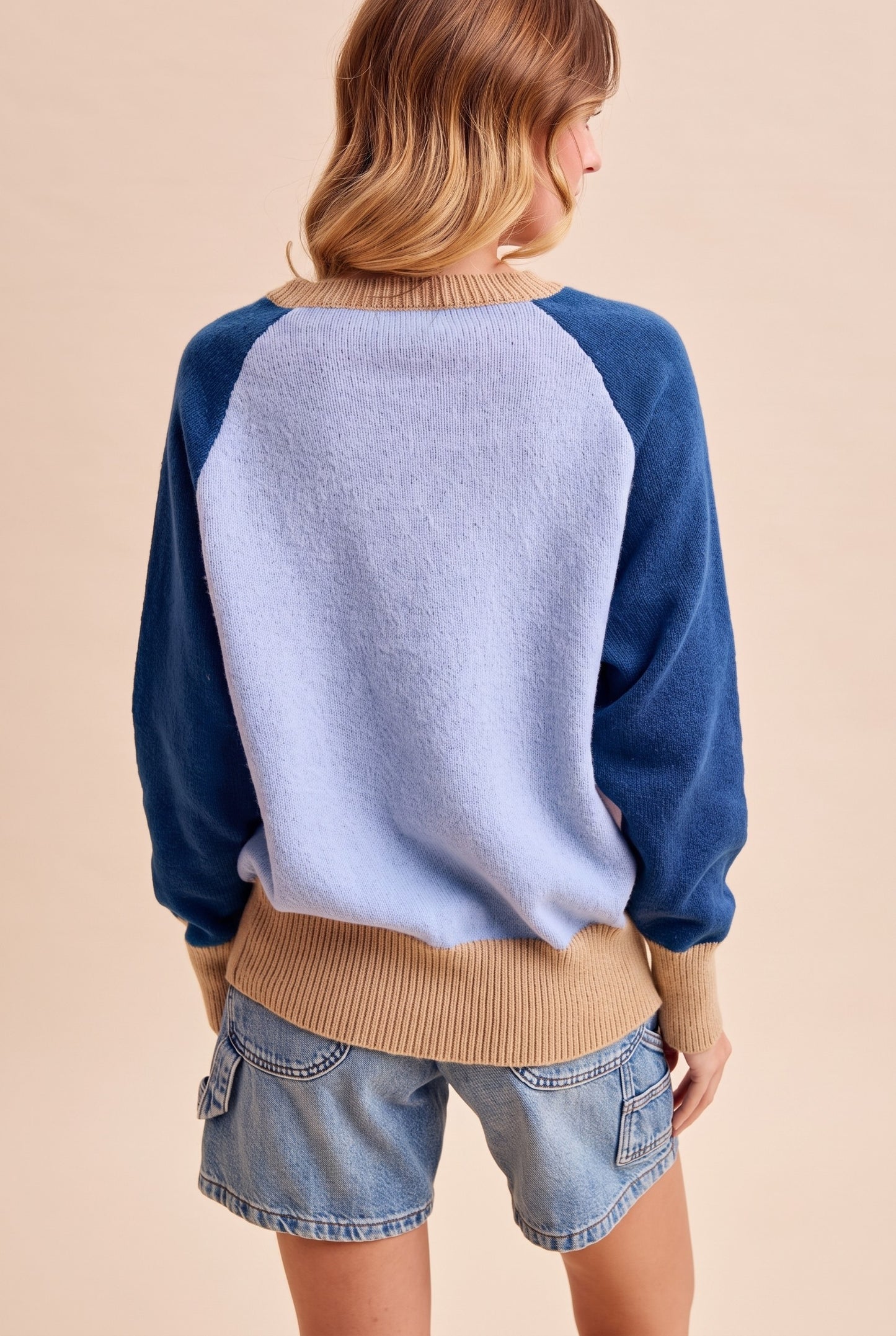 Anniewear French Bulldog Intarisa Colorblock Sweater