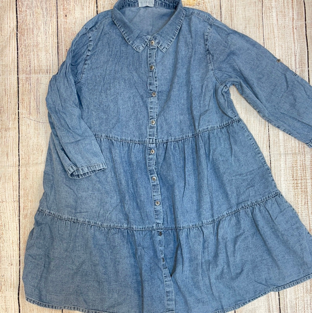 Ninexis Jean Dress