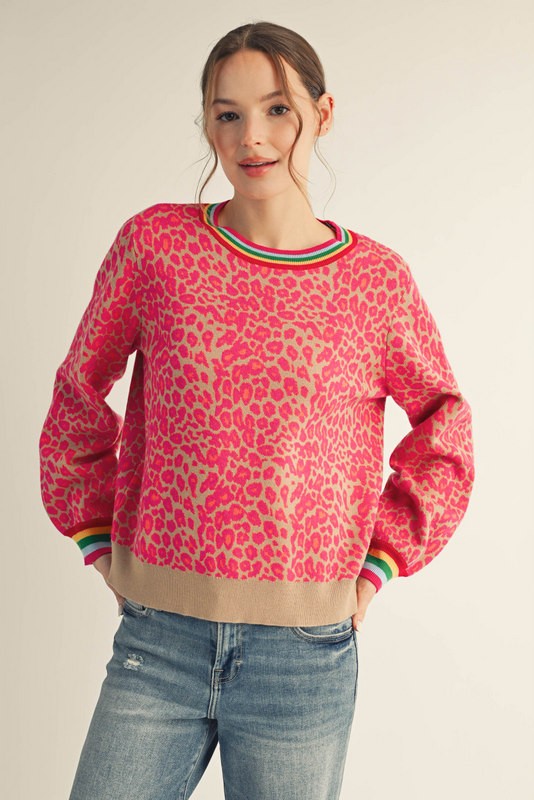 Jodifl Animal Print Sweater With Multi color neck & Cuff