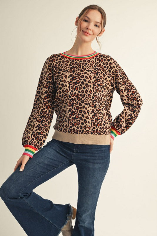 Jodifl Animal Print Sweater With Multi color neck & Cuff