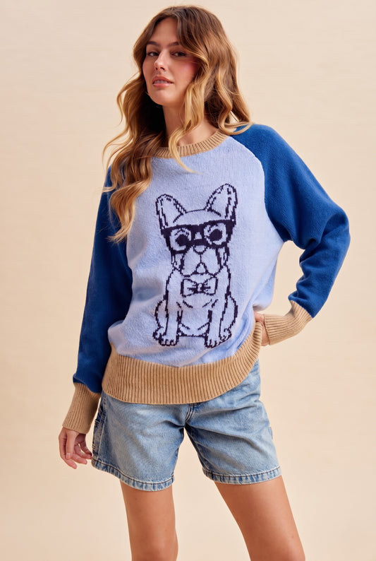 Anniewear French Bulldog Intarisa Colorblock Sweater