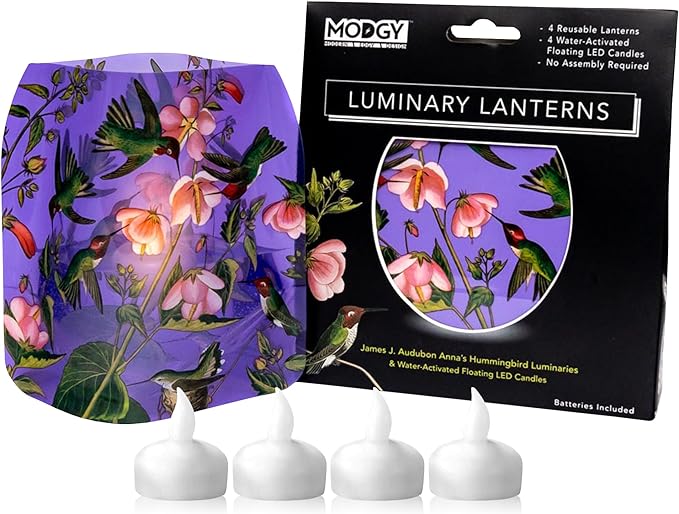 MODGY Luminaries & Water-Activated Floating Candles